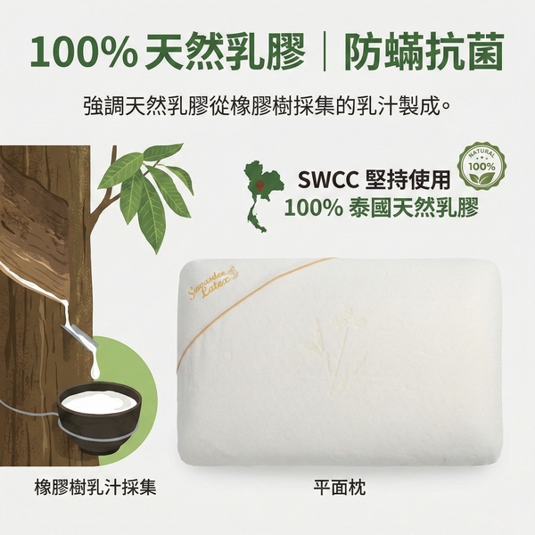 SWCC乳膠枕｜100%天然乳膠防蟎抗菌