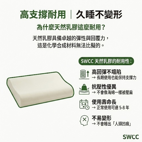 SWCC乳膠枕｜高支撐耐用性